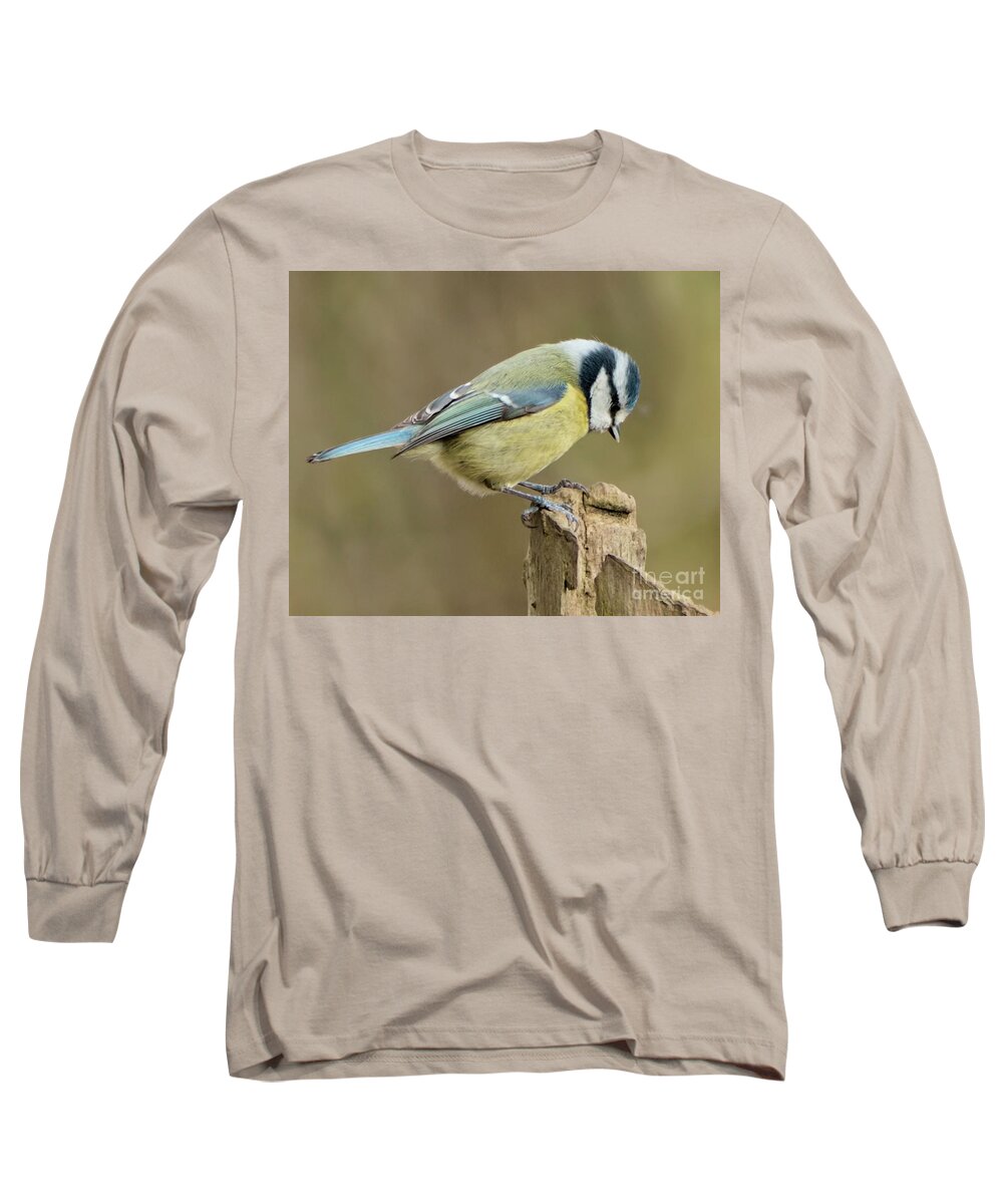 Bird Long Sleeve T-Shirt featuring the photograph Blue Tit 2 by Baggieoldboy