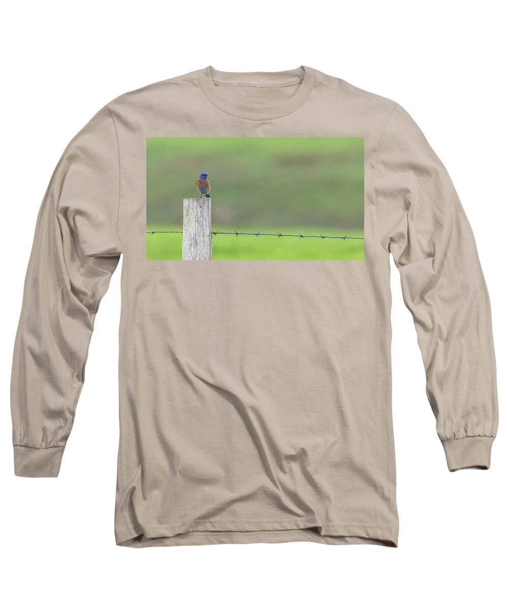 Pt Reyes 2015 3 Long Sleeve T-Shirt featuring the photograph Blues by Kevin Dietrich