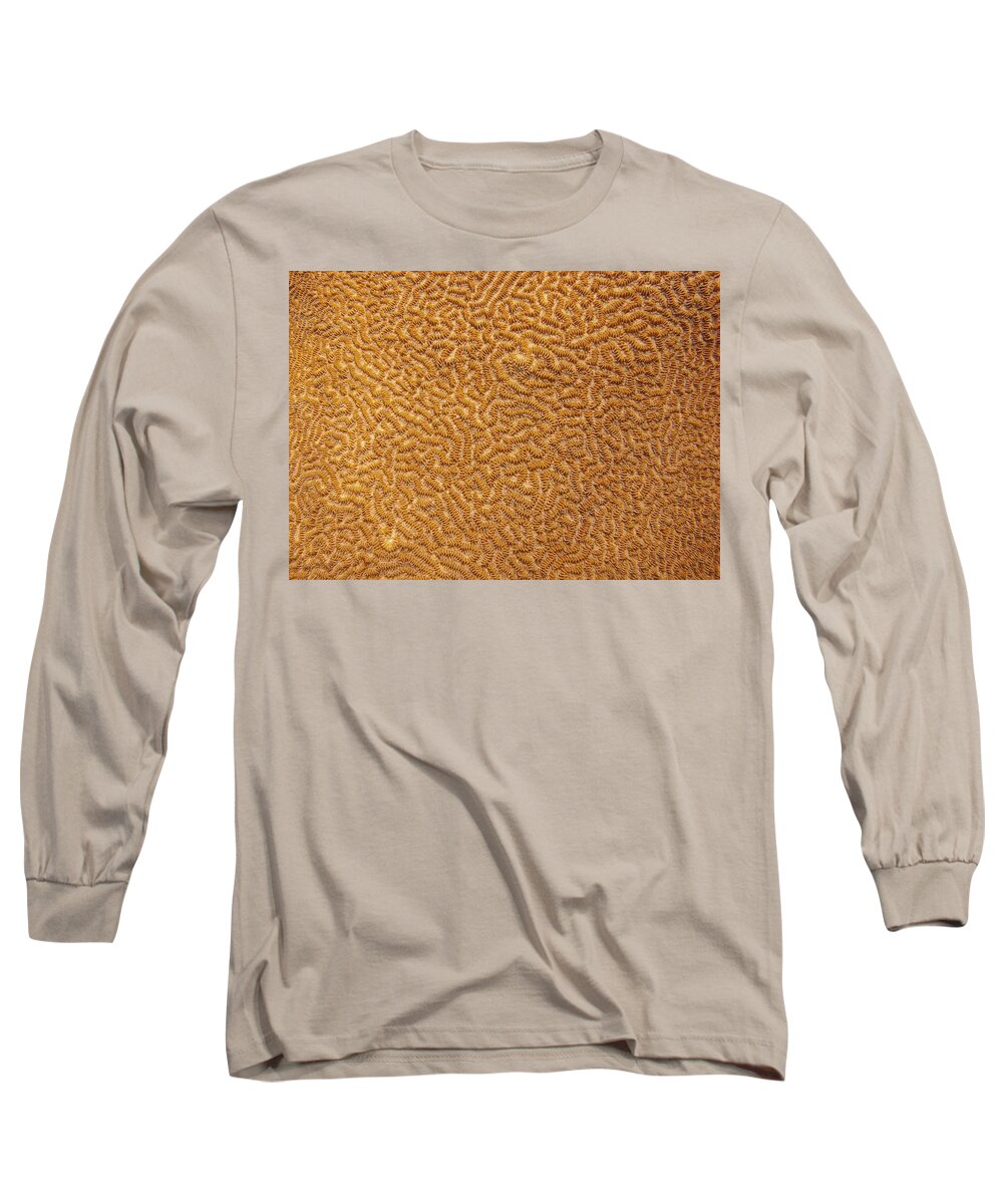 Texture Long Sleeve T-Shirt featuring the photograph Brain Coral 47 by Michael Fryd