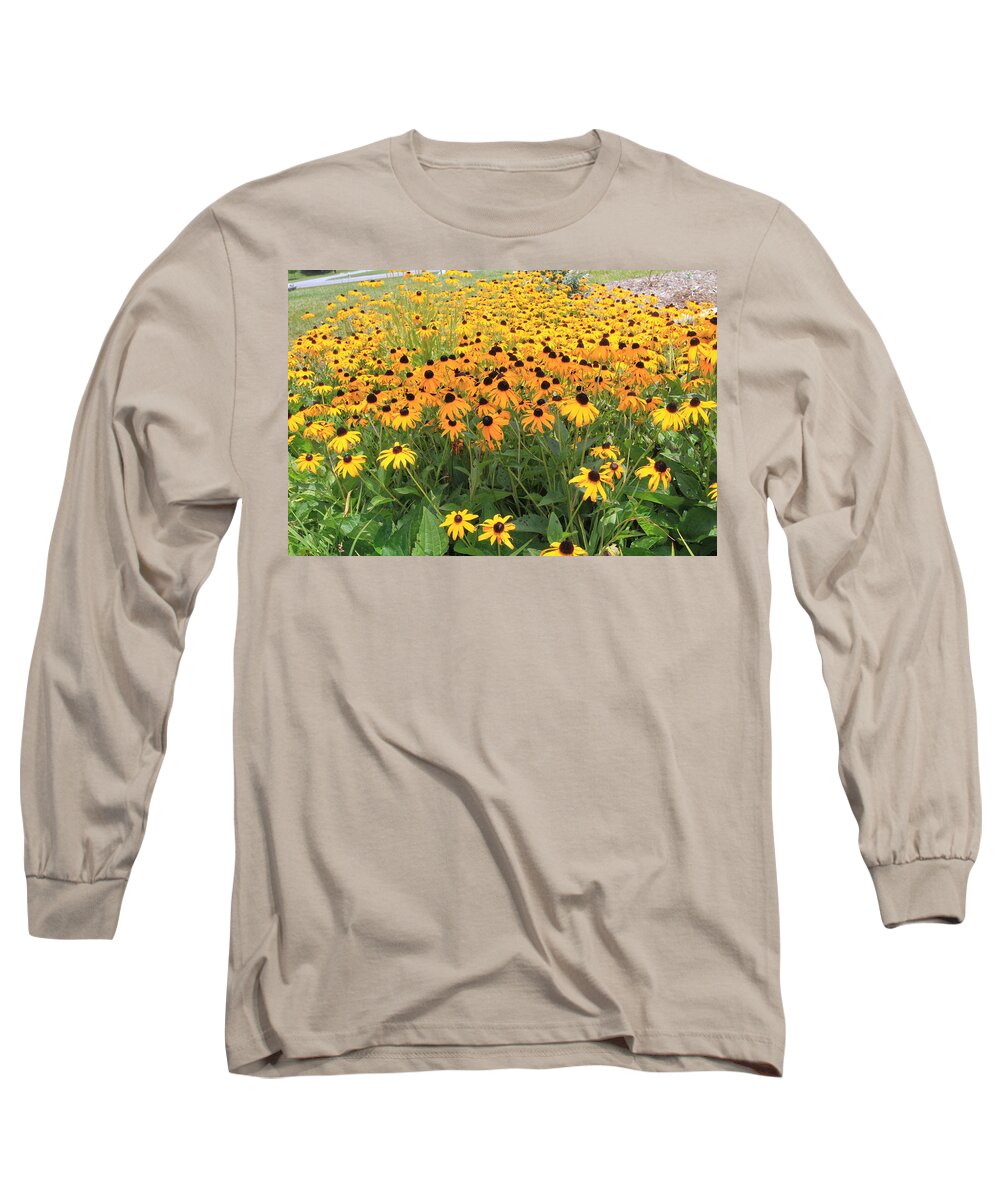 Flowers Long Sleeve T-Shirt featuring the photograph Brown-Eyed Susans by Karen Ruhl