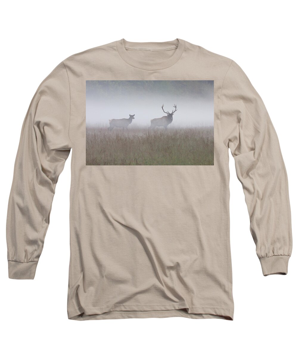 Elk Long Sleeve T-Shirt featuring the photograph Bull and Cow Elk in Fog - September 30 2016 by D K Wall