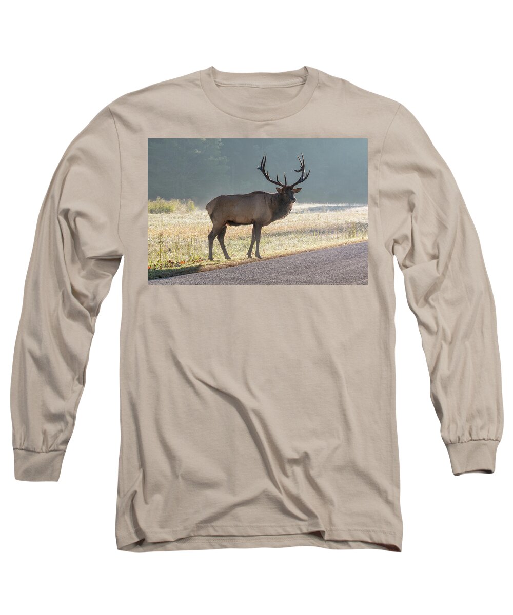 Bull Long Sleeve T-Shirt featuring the photograph Bull Elk Watching by D K Wall