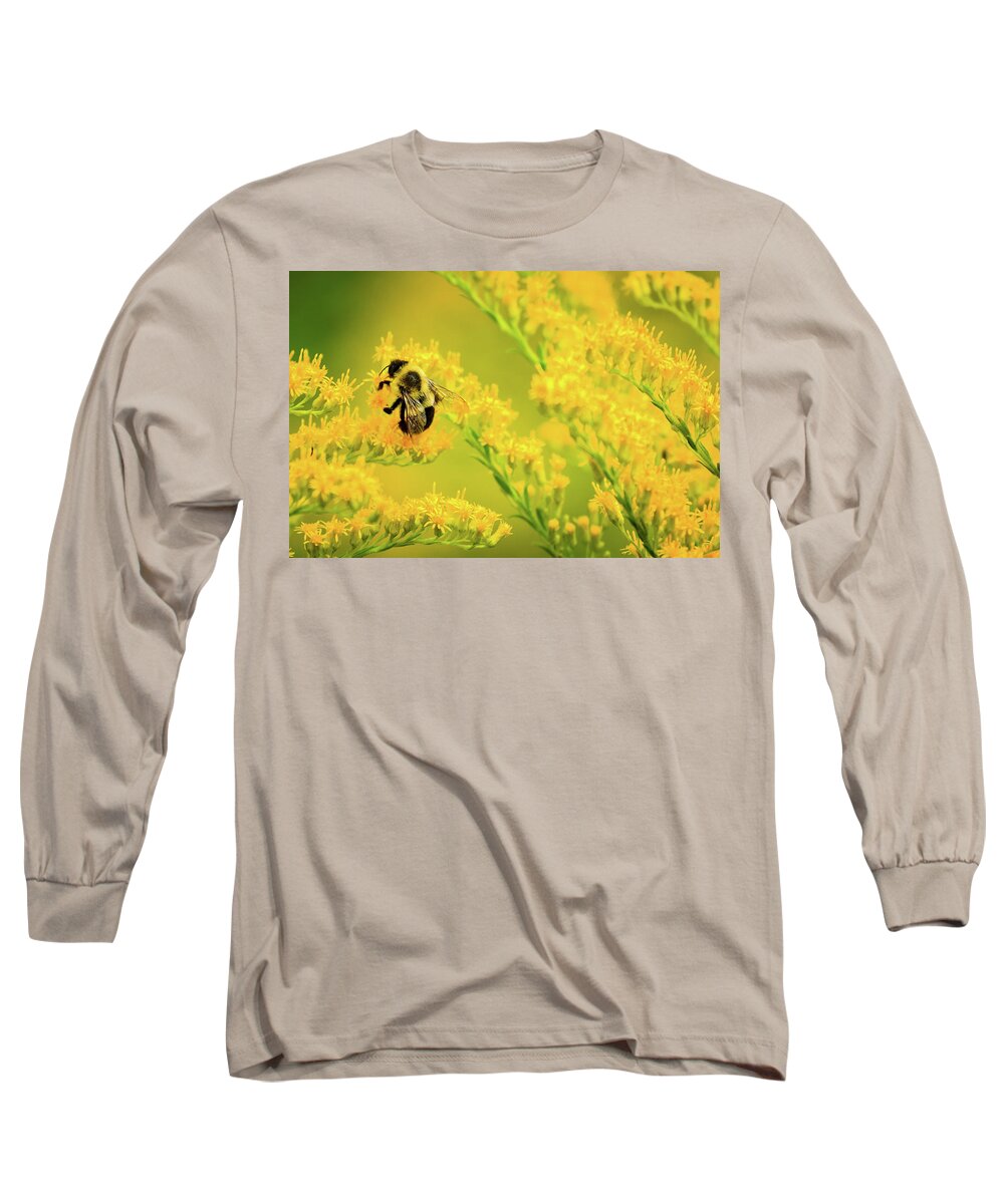 Bee Long Sleeve T-Shirt featuring the photograph Bumble Bee on Goldenrod by Joni Eskridge