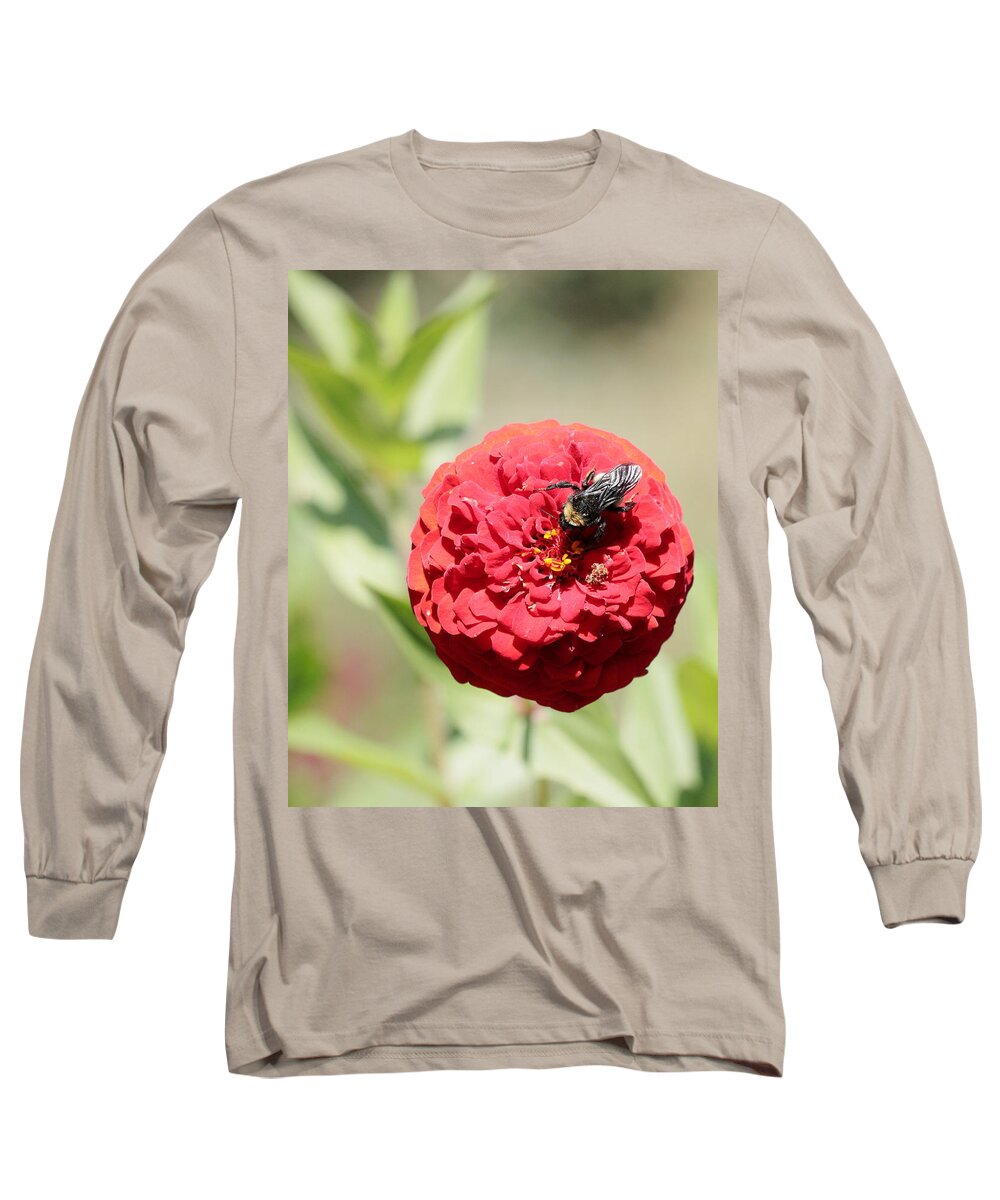Bumble Bee Long Sleeve T-Shirt featuring the photograph Bumble Bee on Zinnia by John Moyer