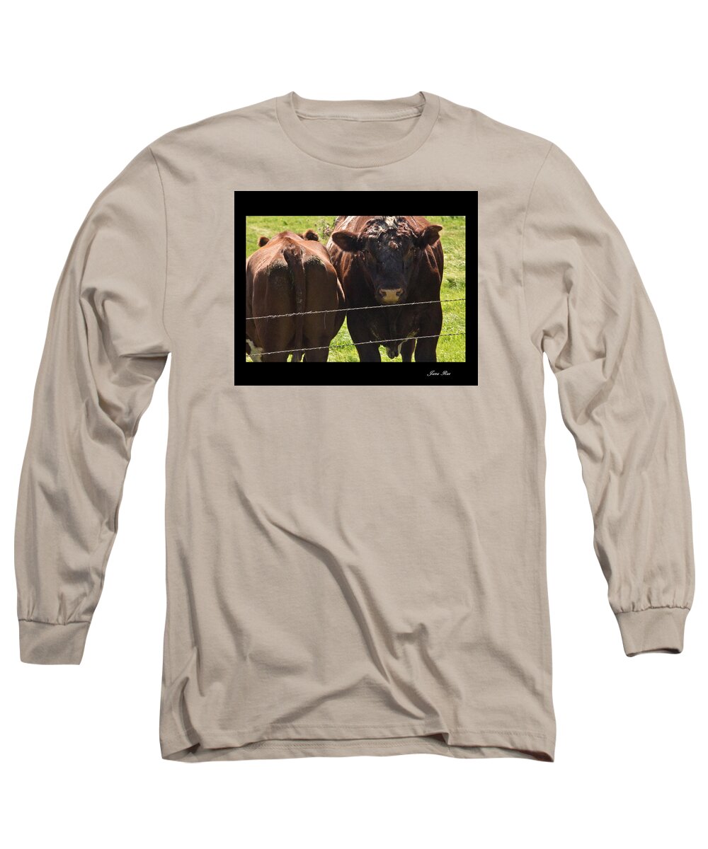 Cows Long Sleeve T-Shirt featuring the photograph Butt Head by Jana Rosenkranz