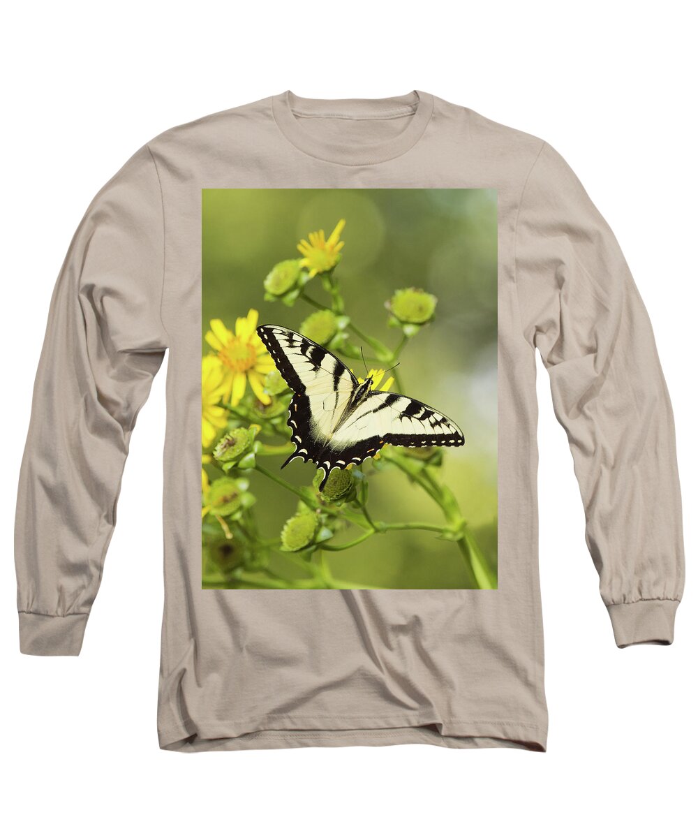 Monarch Long Sleeve T-Shirt featuring the photograph Butterfly on Yellow by Jack Nevitt