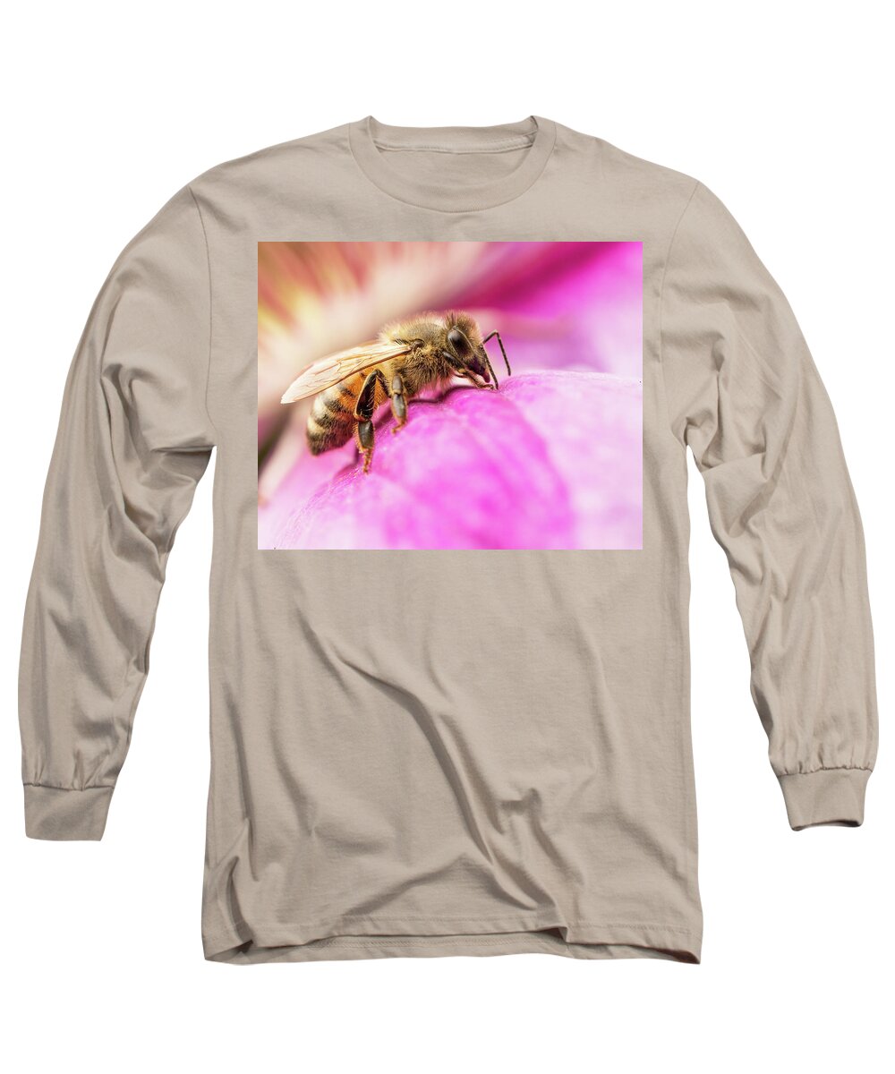 Nature Long Sleeve T-Shirt featuring the photograph Buzz by Bob Cournoyer