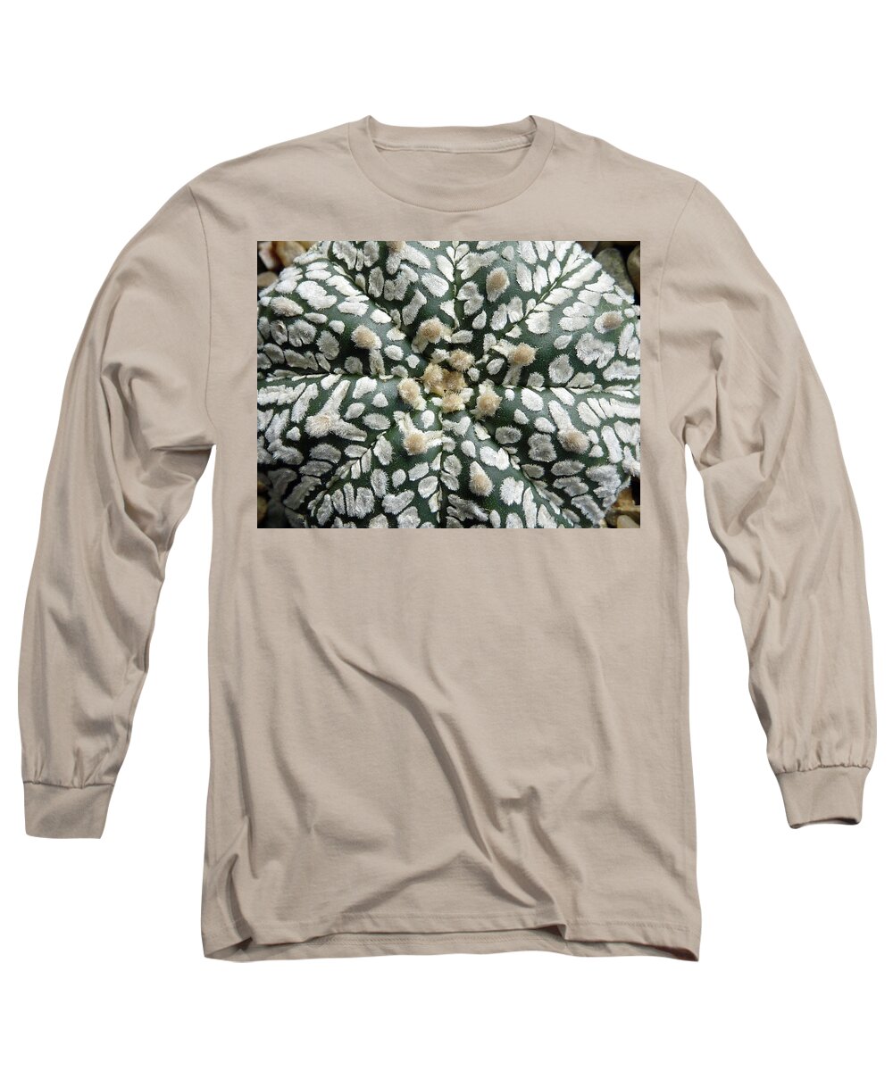 Cactus Long Sleeve T-Shirt featuring the photograph Cactus 1 by Selena Boron