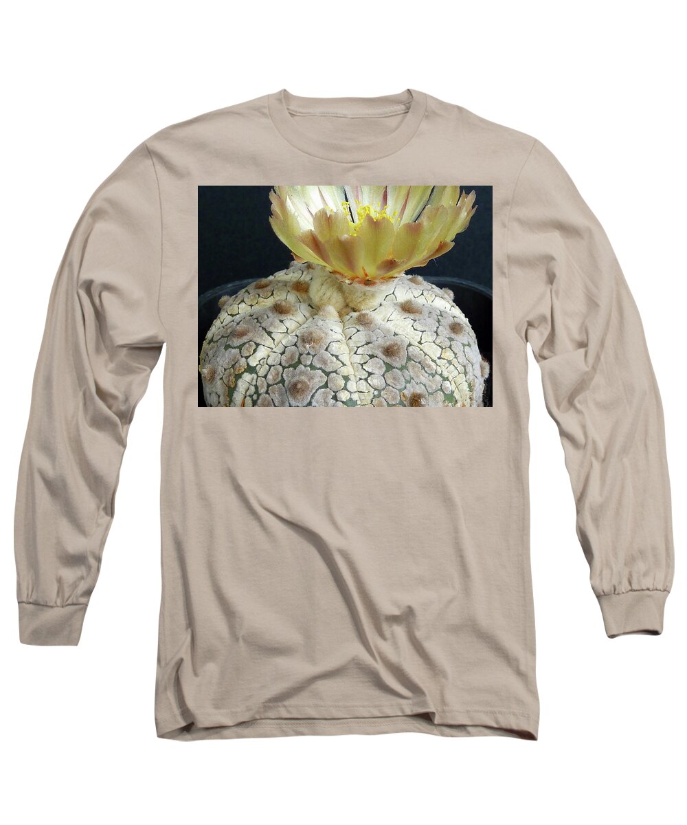 Cactus Long Sleeve T-Shirt featuring the photograph Cactus Flower 1 by Selena Boron