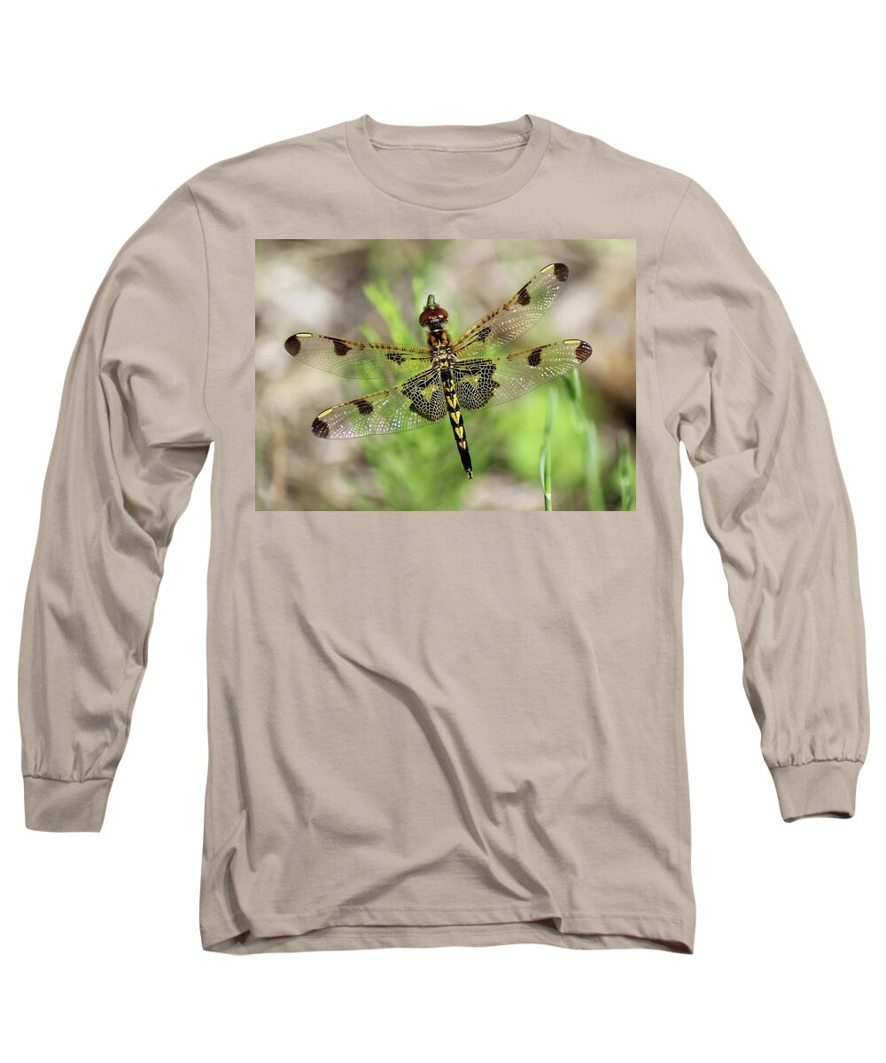 Dragonfly Long Sleeve T-Shirt featuring the photograph Calico Pennant by David Pickett