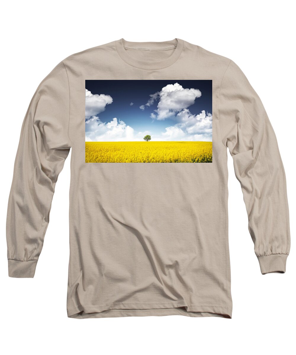 Autumn Long Sleeve T-Shirt featuring the painting Canola field by Bess Hamiti