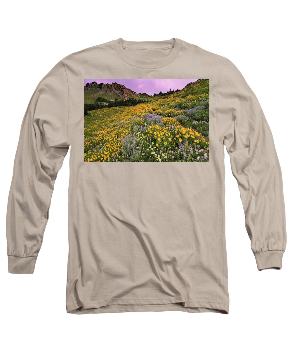 Utah Long Sleeve T-Shirt featuring the photograph Cardiff Pass Sunset and Wildflowers - Alta, Utah by Brett Pelletier
