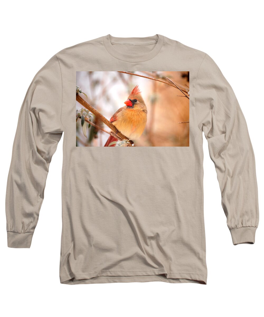 Landscape Long Sleeve T-Shirt featuring the photograph Cardinal Bird Female by Peggy Franz