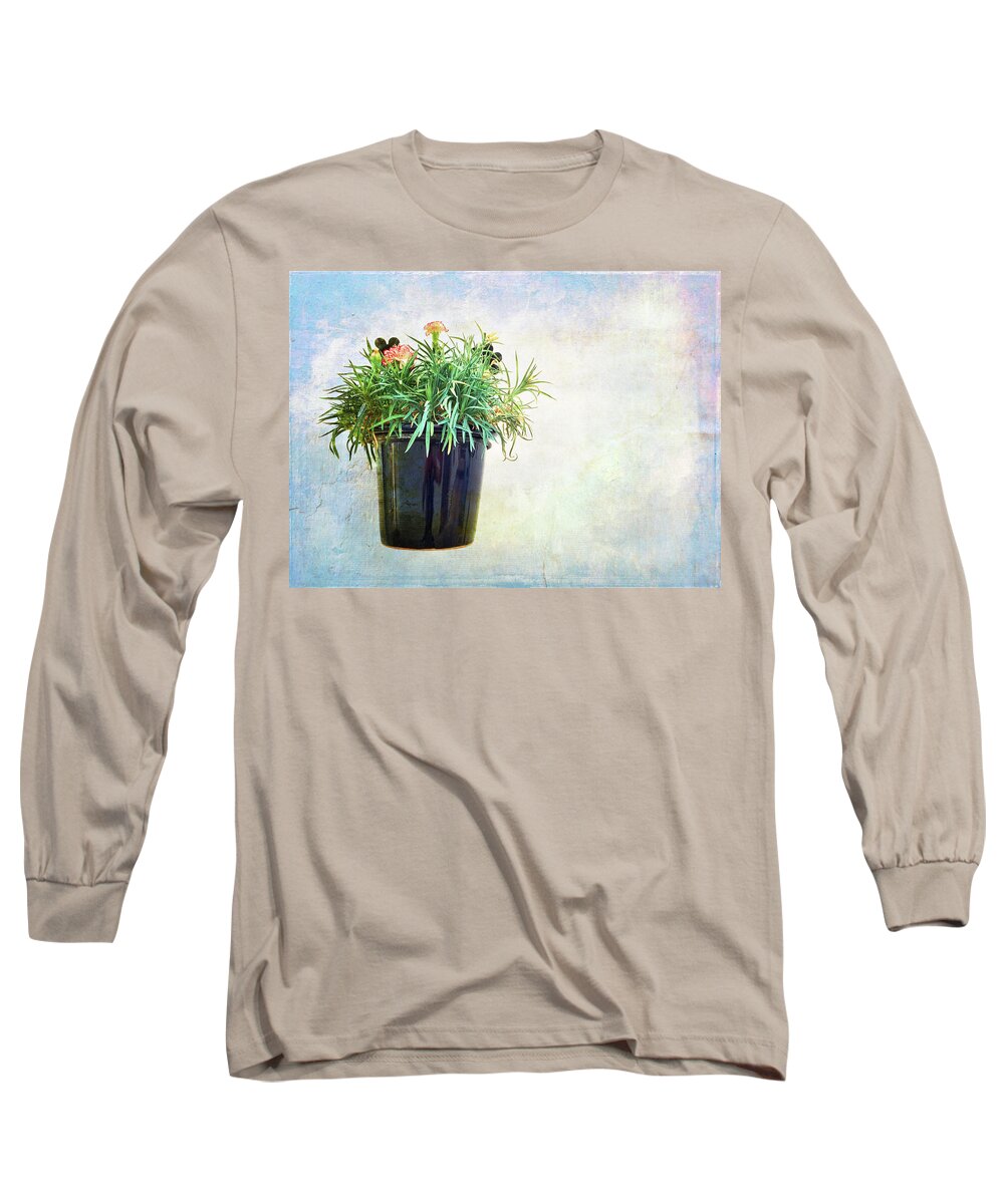 Carnation Long Sleeve T-Shirt featuring the photograph Carnations in a pot on artistic background by GoodMood Art