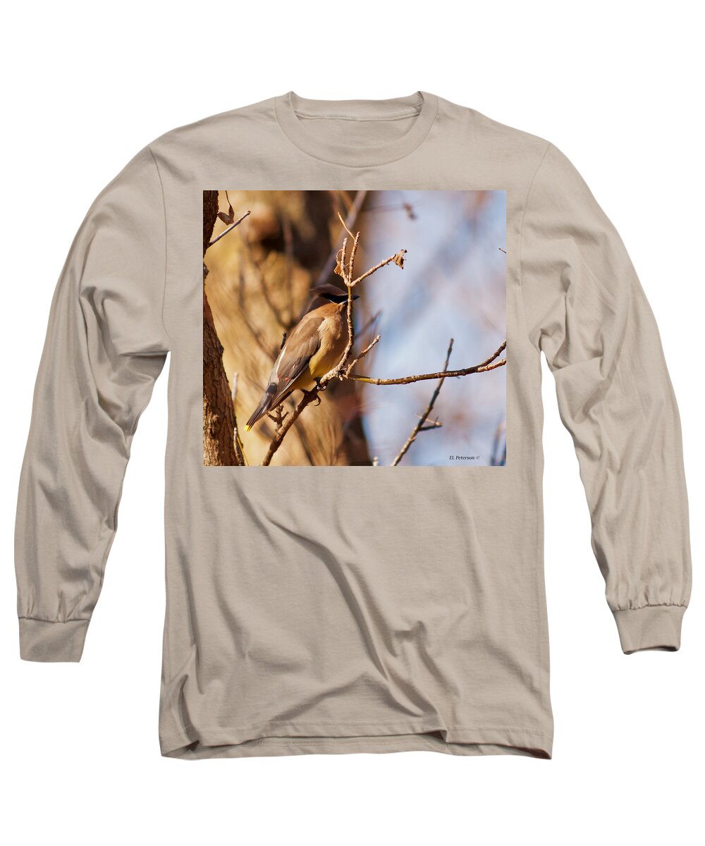 Cedar Waxwing Long Sleeve T-Shirt featuring the photograph Cedar Waxwing In Autumn by Ed Peterson