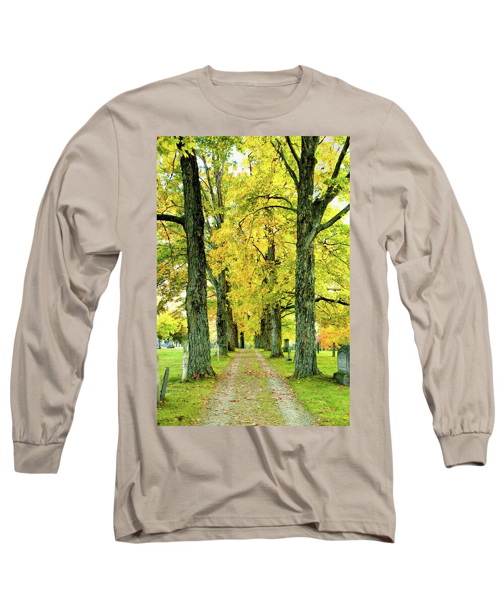 Foliage Long Sleeve T-Shirt featuring the photograph Cemetery Lane by Greg Fortier
