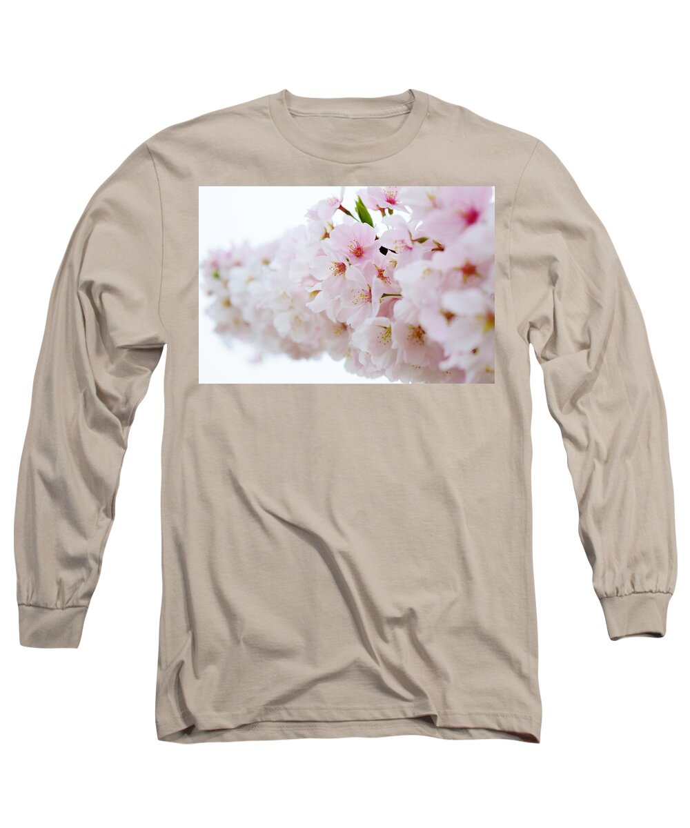 Cherry Blossom Long Sleeve T-Shirt featuring the photograph Cherry Blossom Focus by Nicole Lloyd