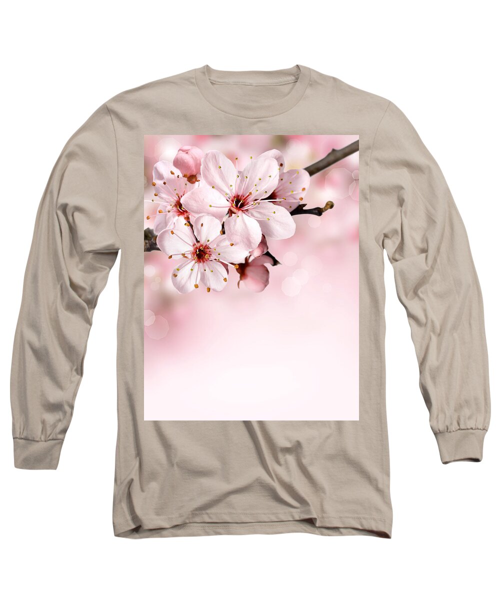 Japanese Cherry Blossoms Long Sleeve T-Shirt featuring the photograph Cherry Blossoms in Bloom by Leah McPhail