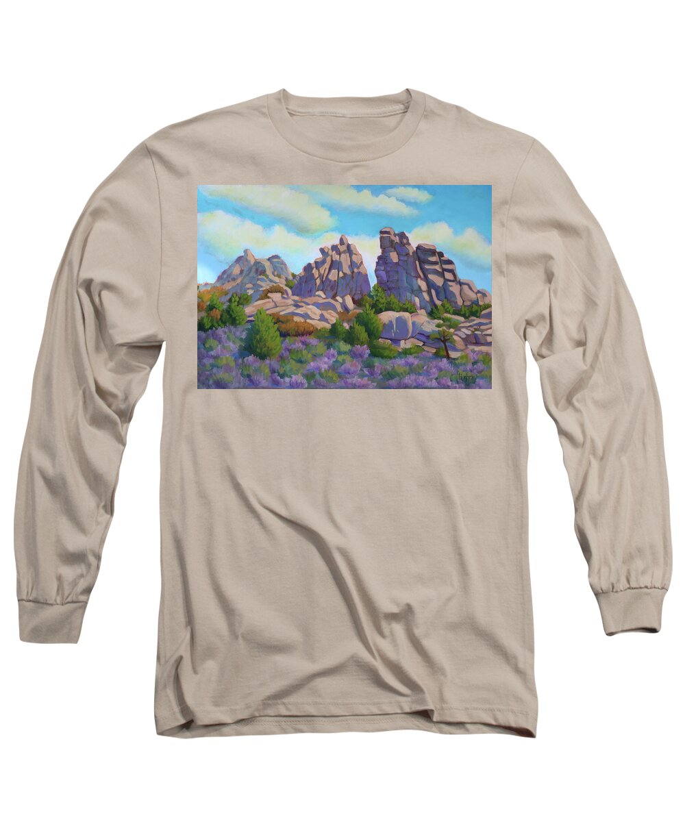 Idaho Long Sleeve T-Shirt featuring the painting City of Rocks by Kevin Hughes
