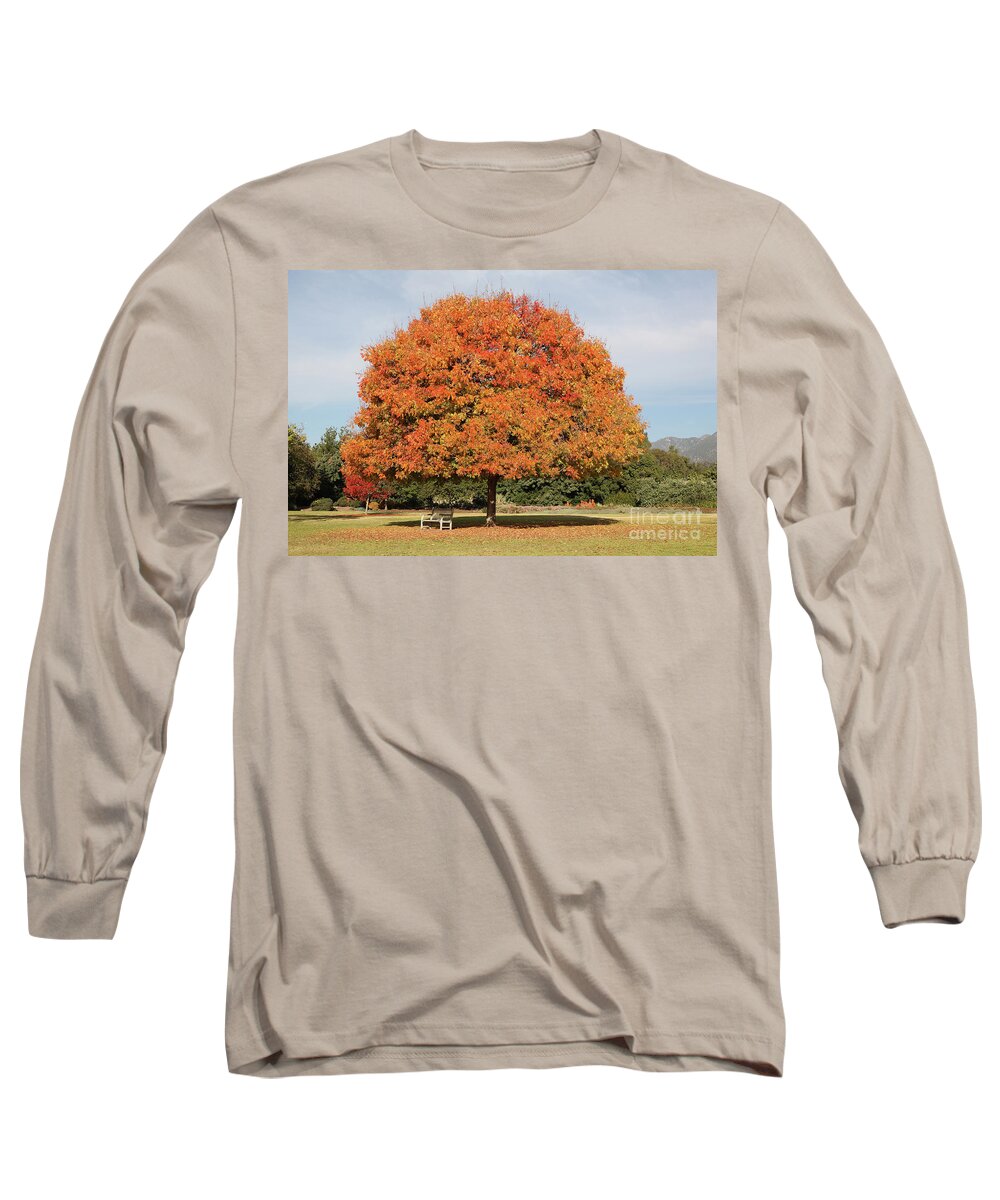 Fall Long Sleeve T-Shirt featuring the photograph Colourful Tree with Fall colored foliage by Nicholas Burningham