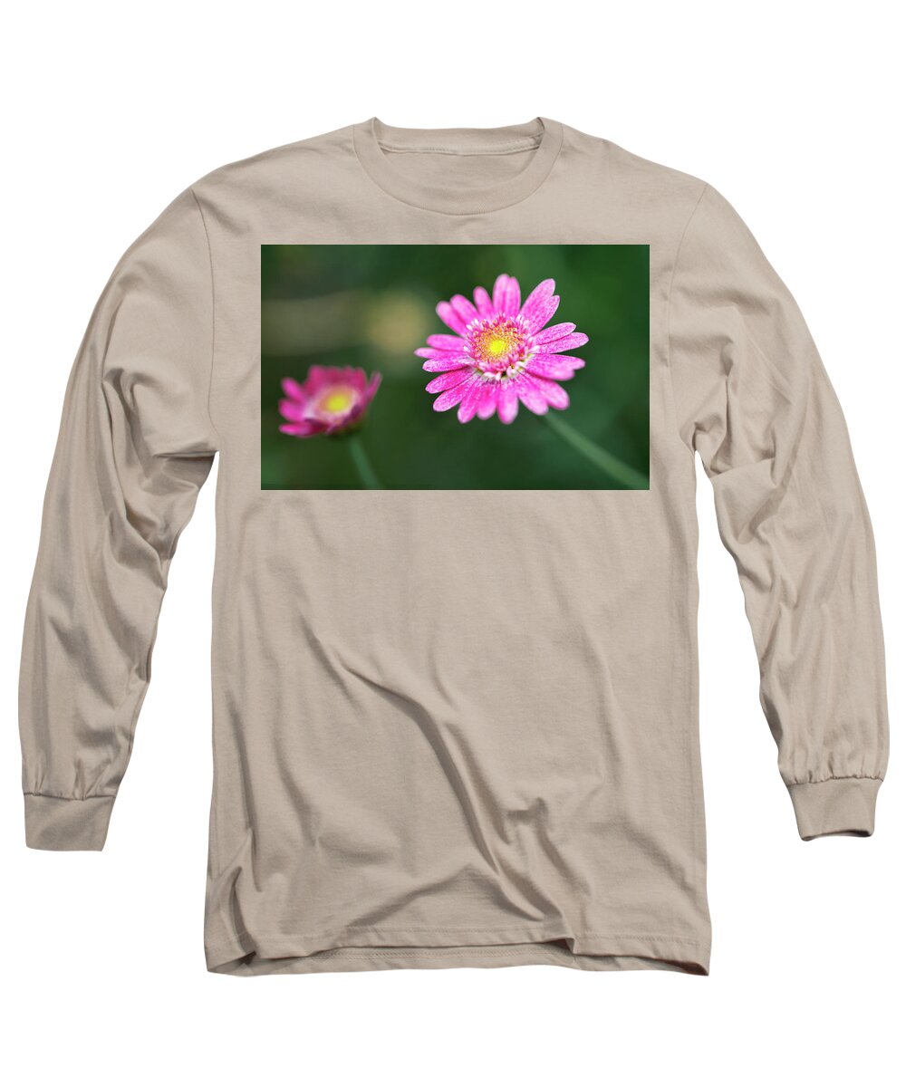 Daisy Long Sleeve T-Shirt featuring the photograph Daisy flower by Pradeep Raja Prints