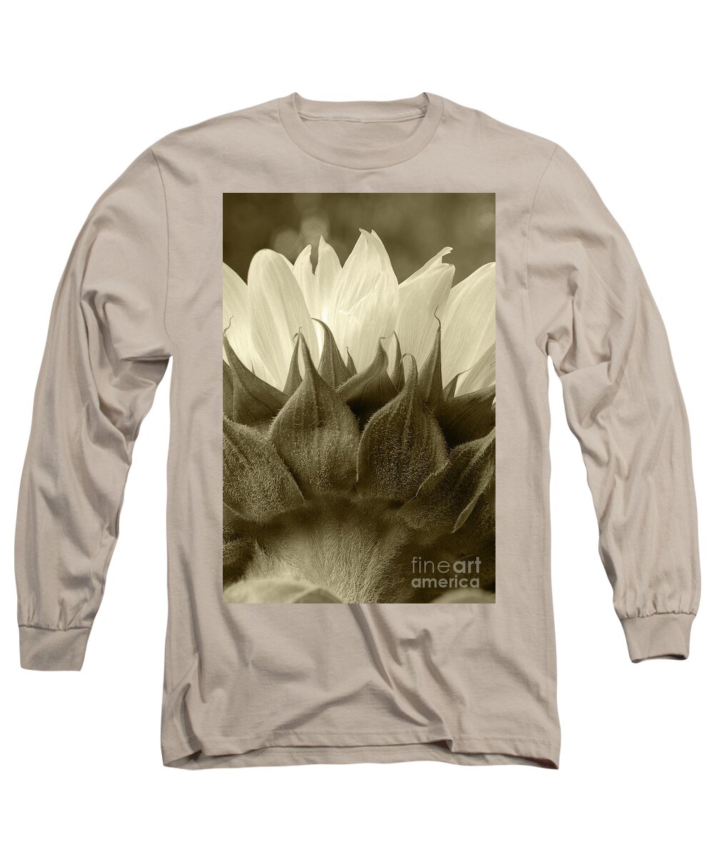 Dandelion Long Sleeve T-Shirt featuring the photograph Dandelion in sepia by Micah May