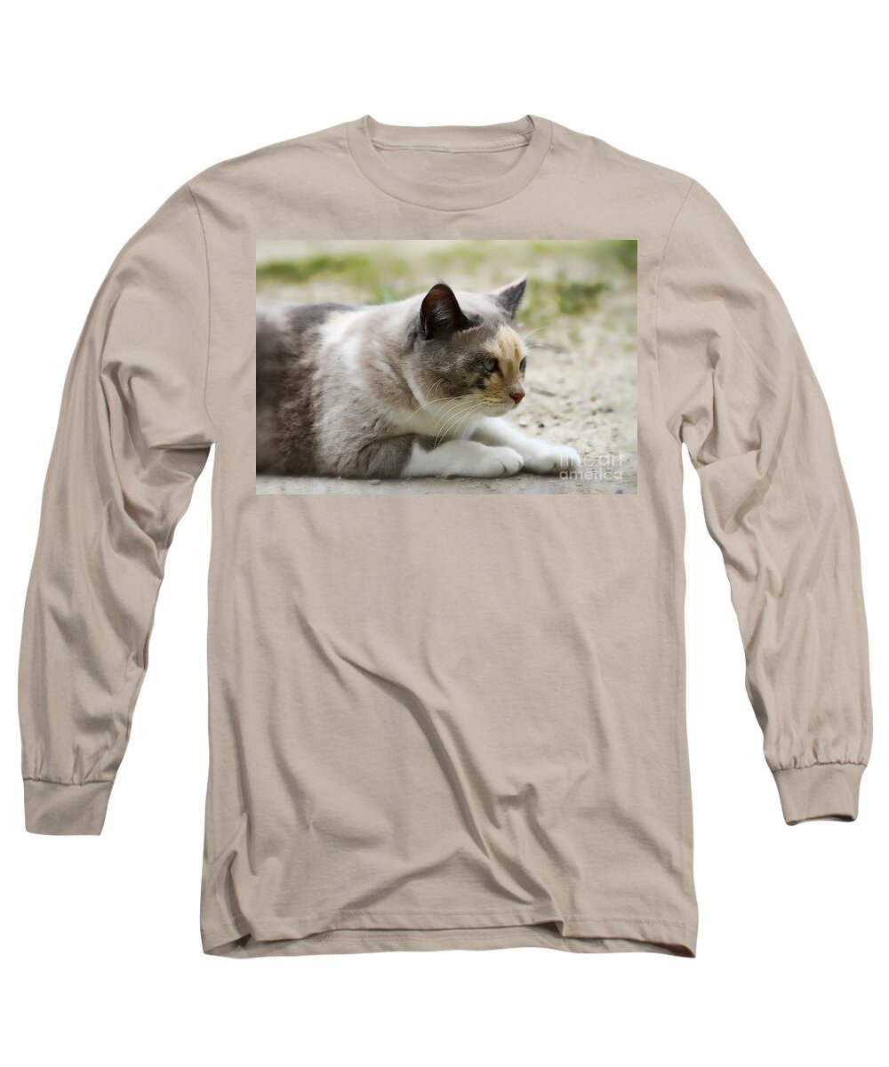 Animal Long Sleeve T-Shirt featuring the photograph Danni Girl 2 by Teresa Zieba