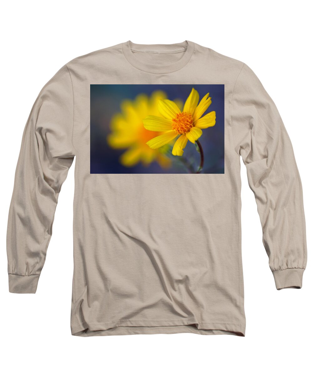 Superbloom 2016 Long Sleeve T-Shirt featuring the photograph Death Valley Superbloom 503 by Daniel Woodrum