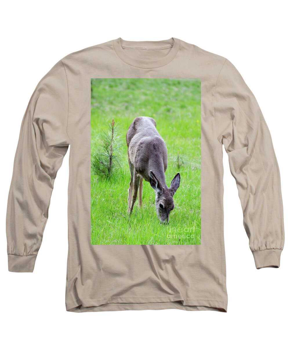 Deer Long Sleeve T-Shirt featuring the photograph Deer in the Field by Debby Pueschel
