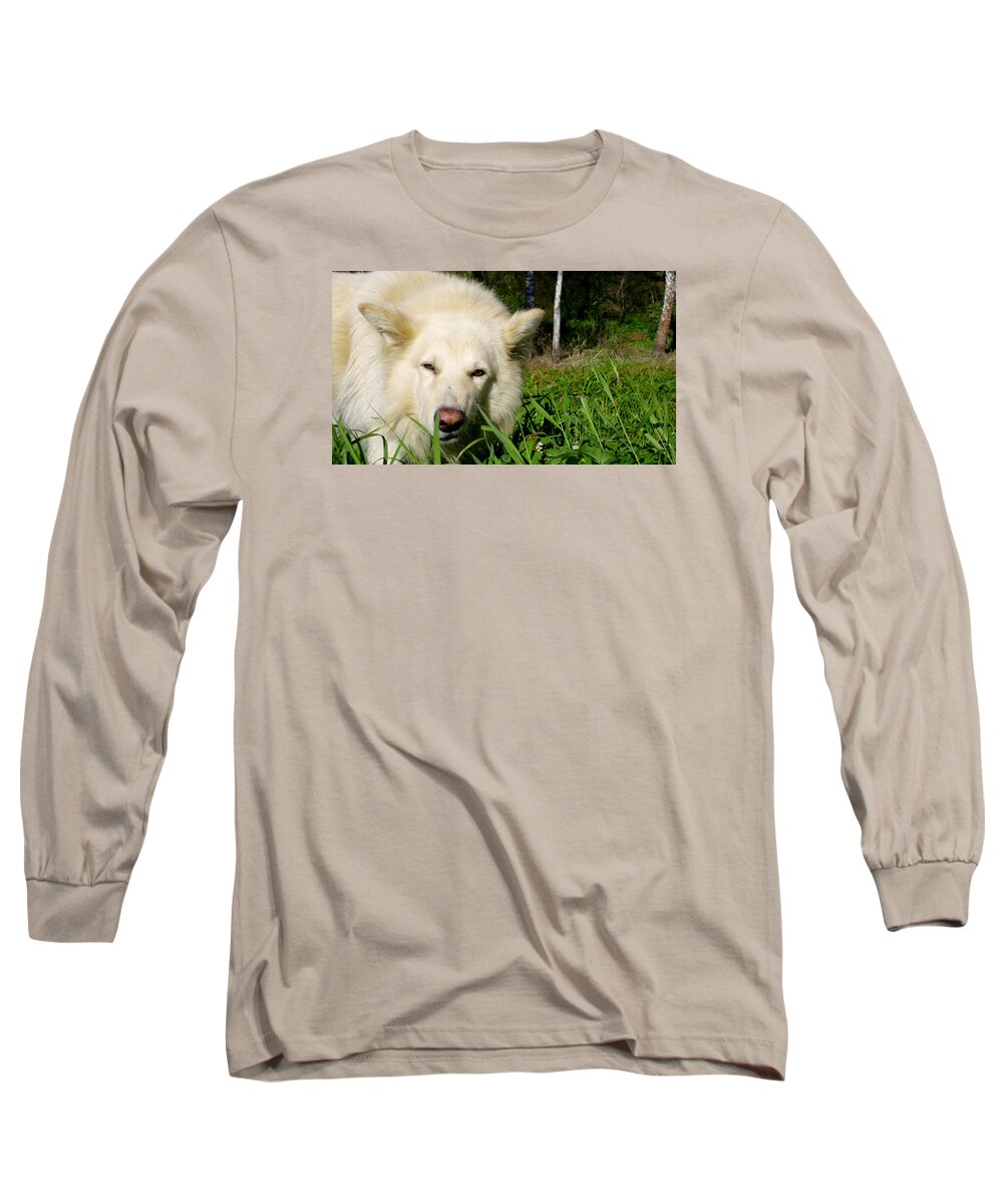 Grass Long Sleeve T-Shirt featuring the photograph Dog by Vladyslav Zinkevych