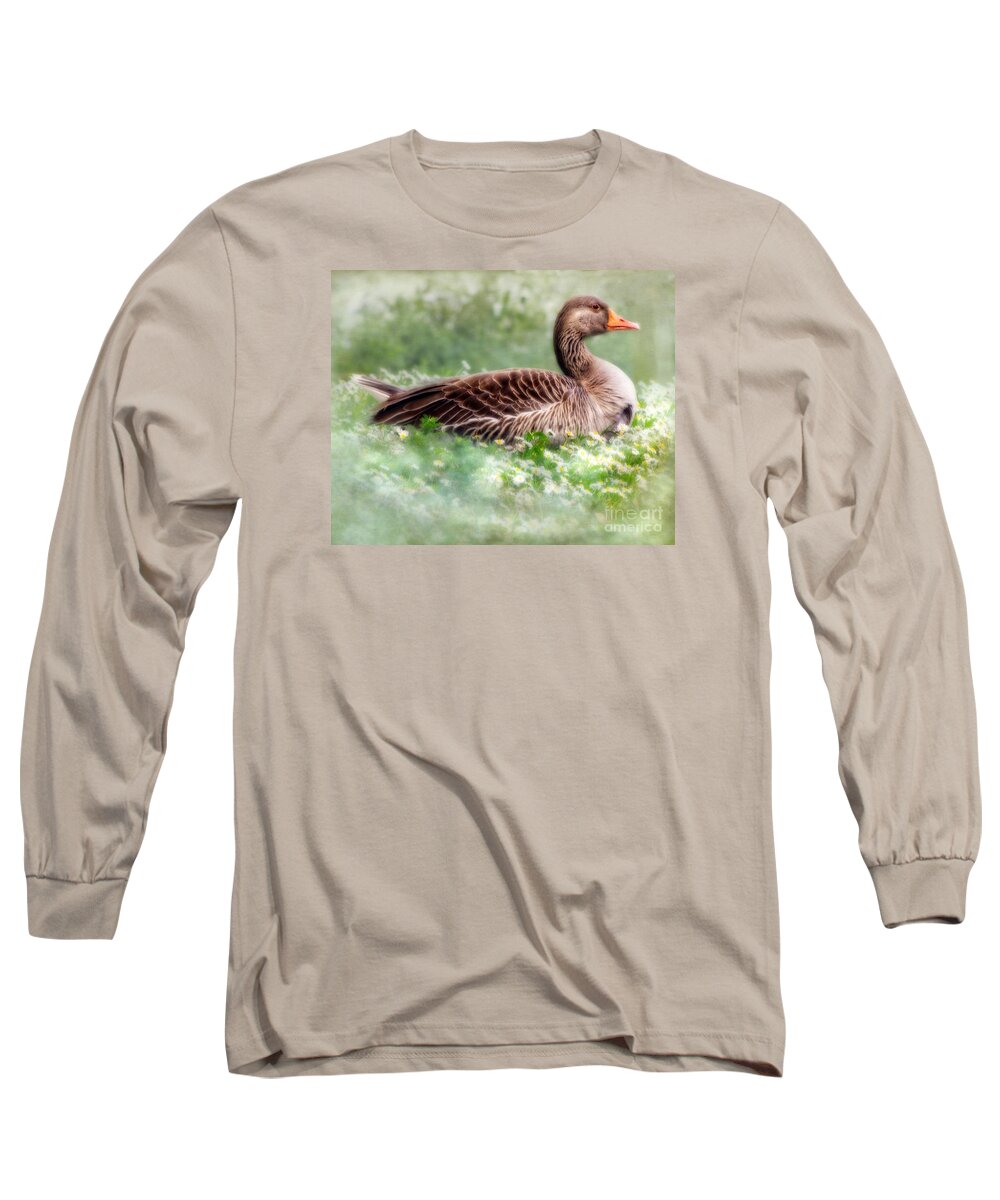 Green Long Sleeve T-Shirt featuring the photograph Down With The Daisies by Linsey Williams
