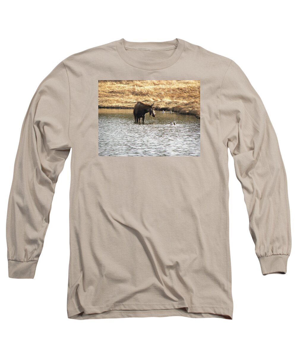 Animal Long Sleeve T-Shirt featuring the photograph Ducks - Moose Rollinsville CO by Margarethe Binkley