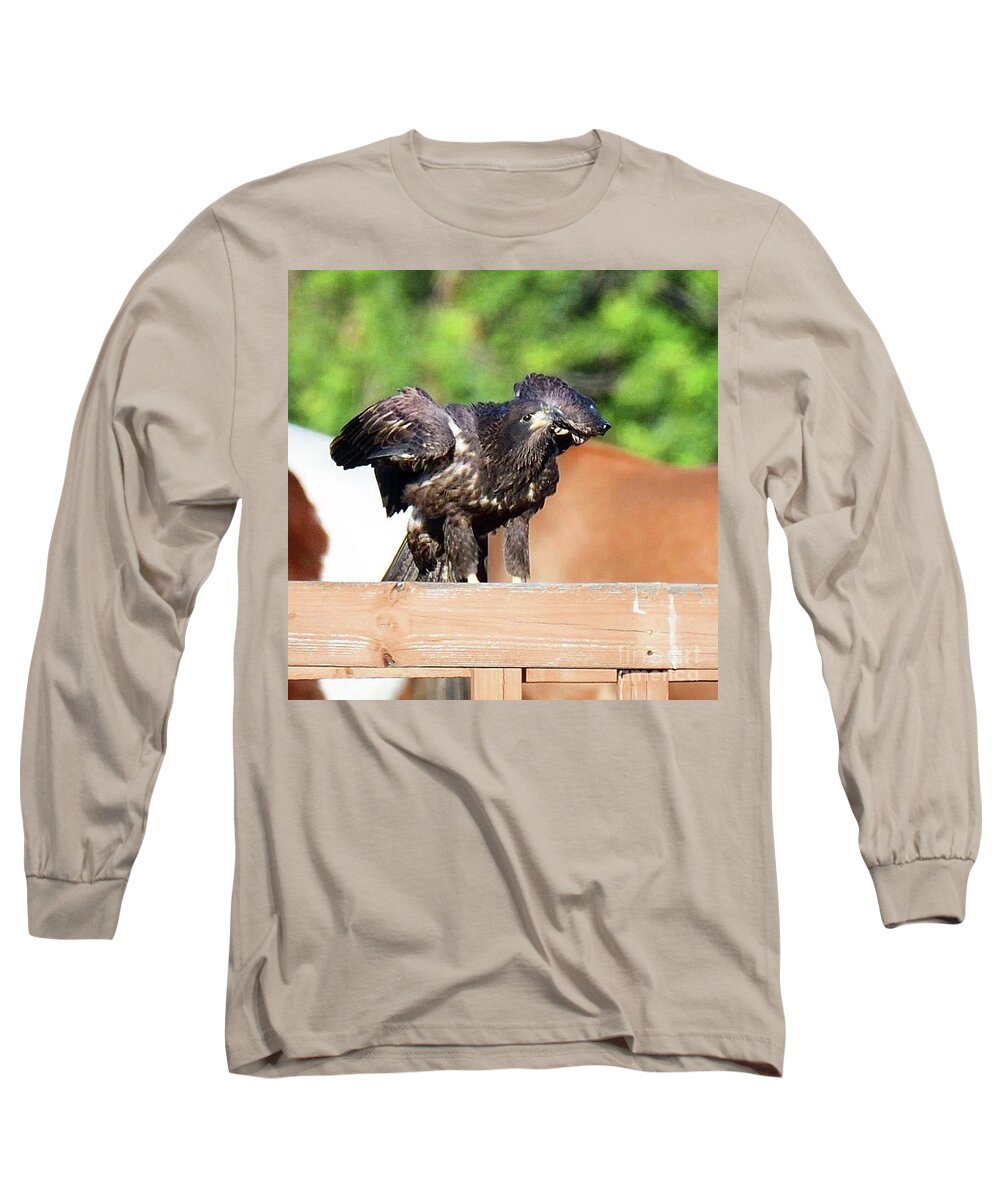 Bald Eagle Long Sleeve T-Shirt featuring the photograph E9 looking by Liz Grindstaff