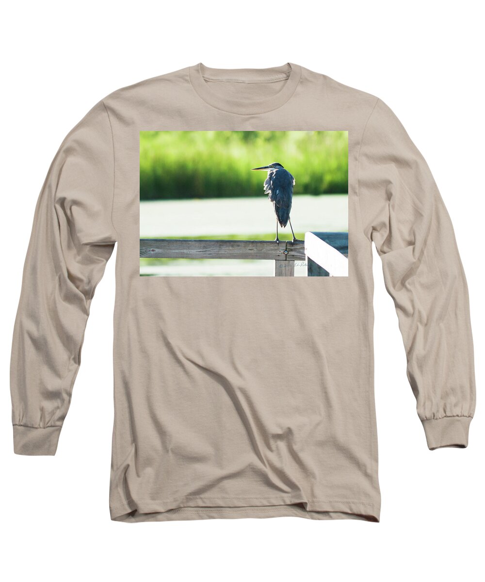 Great Blue Heron Long Sleeve T-Shirt featuring the photograph Early Morning Great Blue Heron by Ed Peterson
