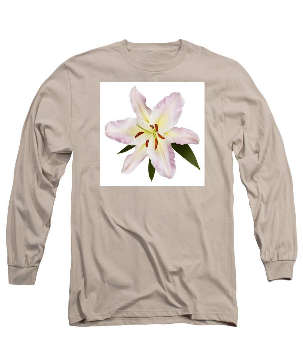 Flowers Flowers Long Sleeve T-Shirt featuring the photograph Easter Lilly 1 by Tony Cordoza