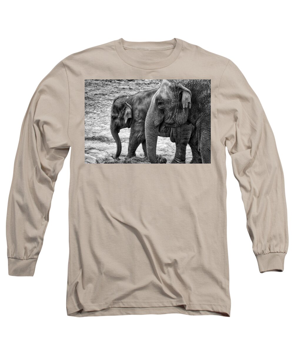 Animals Long Sleeve T-Shirt featuring the photograph Elephants BW by Ingrid Dendievel