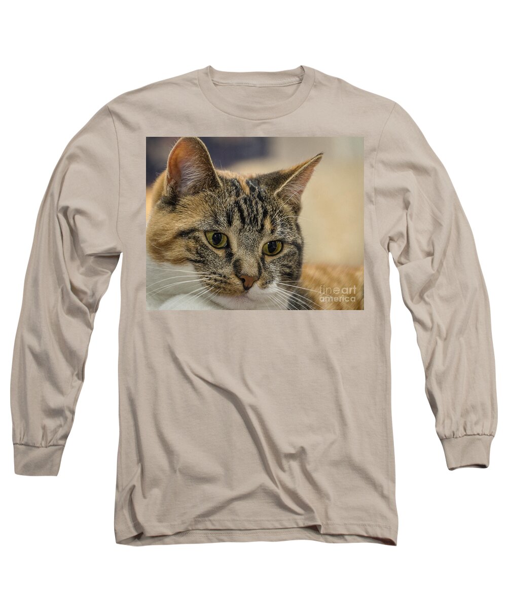 Cat Long Sleeve T-Shirt featuring the photograph Eyes for You by Joann Long