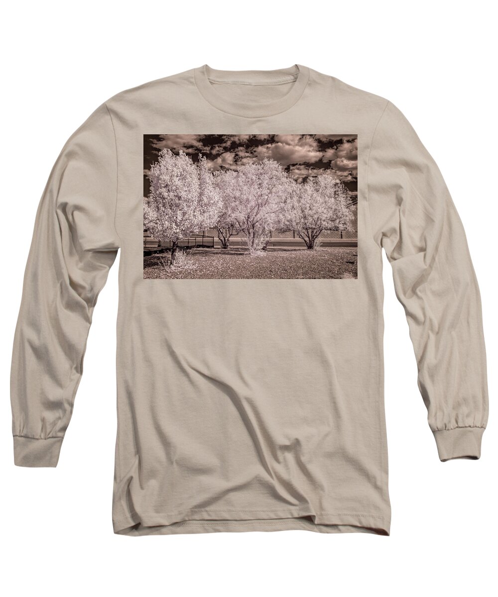 Landscape Long Sleeve T-Shirt featuring the photograph Fall Trees by Michael McKenney