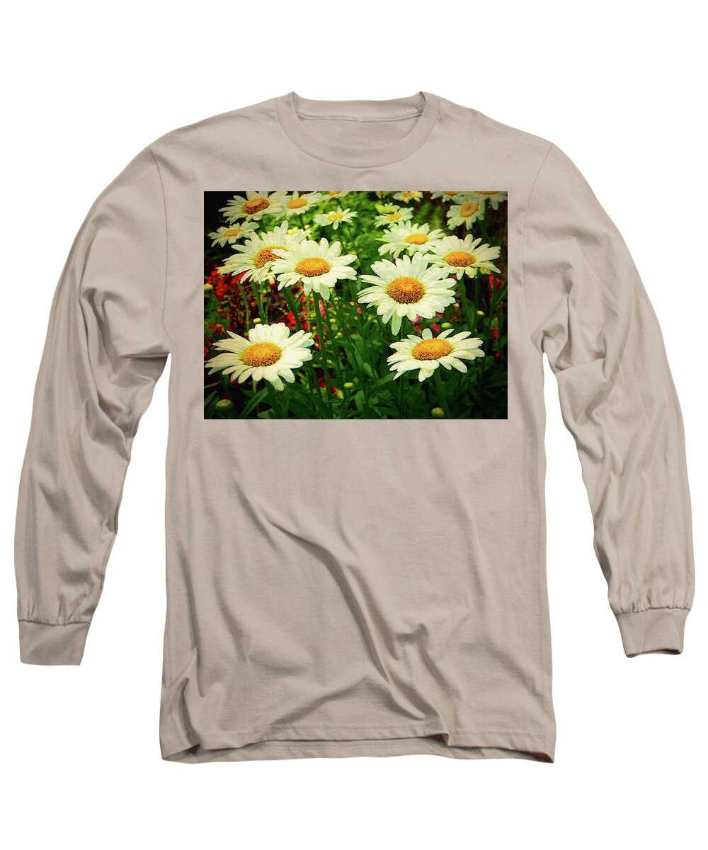Fine Art Prints Long Sleeve T-Shirt featuring the photograph Field of Daisies by Dave Bosse