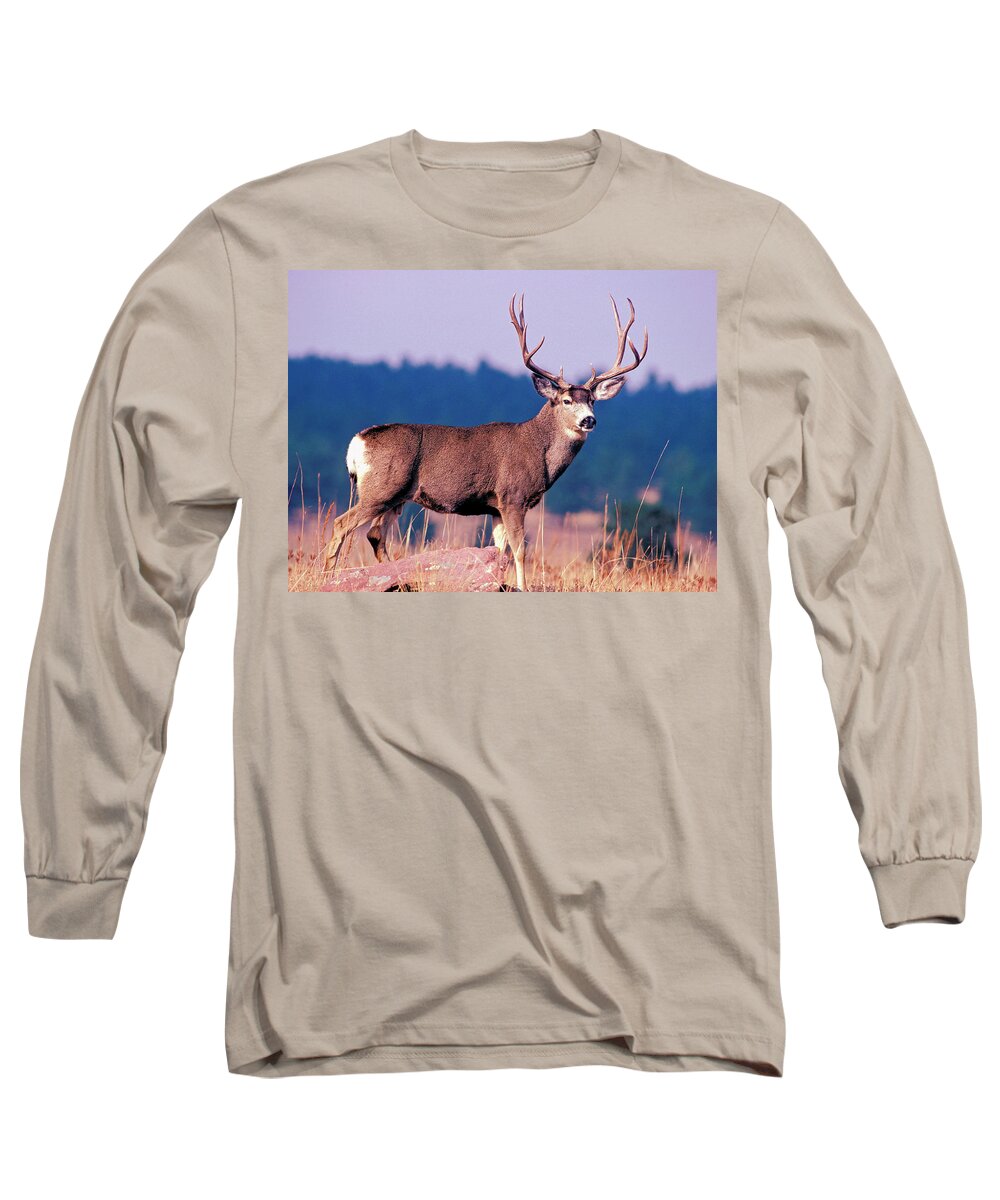 Mule Deer Long Sleeve T-Shirt featuring the photograph Fine Colorado Buck by Mark Miller