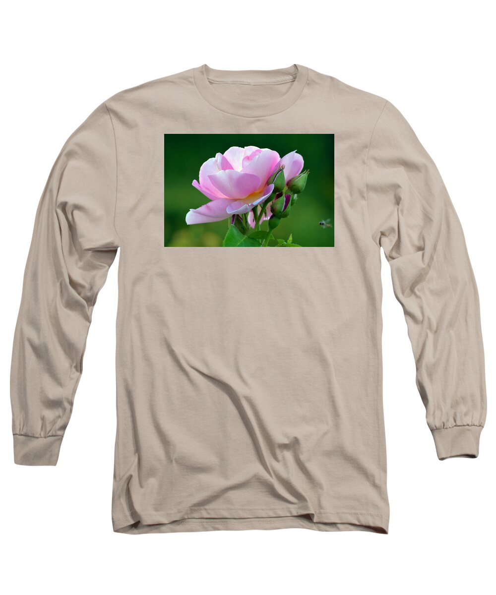 Nature Long Sleeve T-Shirt featuring the photograph Flight Of The Pollinator. by Terence Davis
