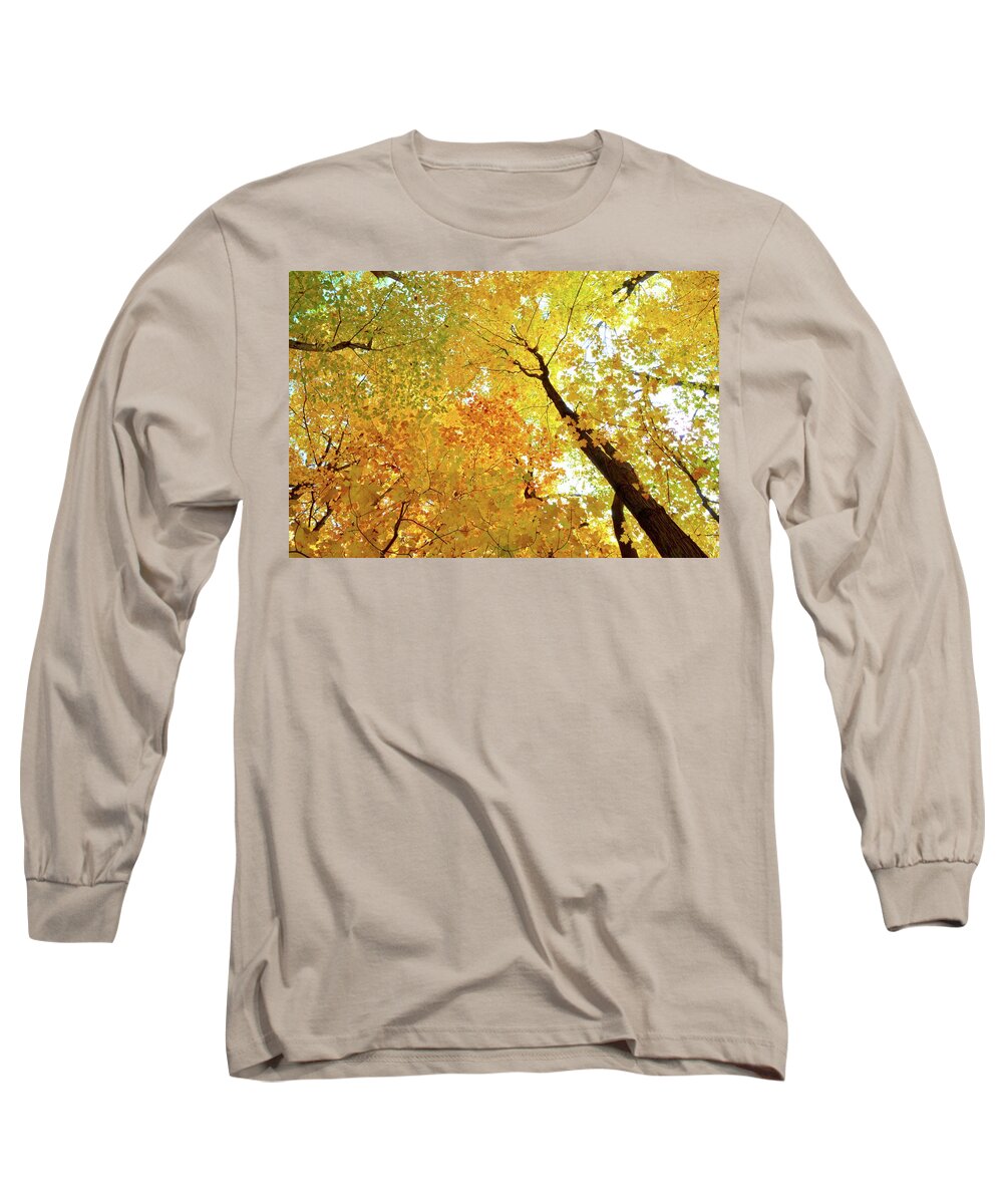 Abstract Long Sleeve T-Shirt featuring the photograph Forest Fall Yellow by Lyle Crump