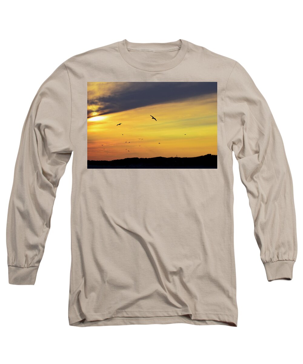 Flying Long Sleeve T-Shirt featuring the photograph Freedom by Kate Arsenault 