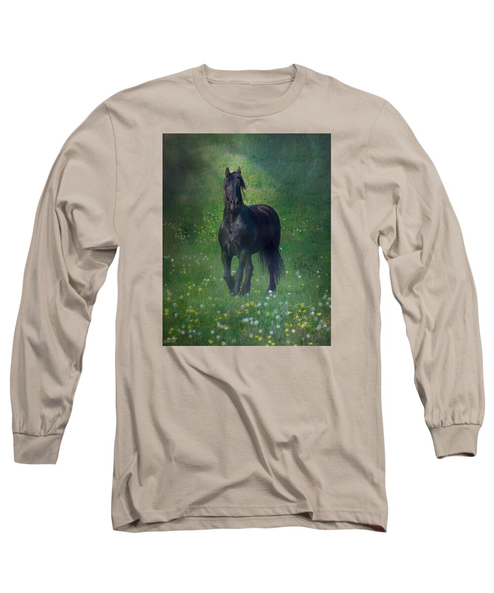 Horses Canvas Prints Long Sleeve T-Shirt featuring the photograph Friesian Mist by Fran J Scott