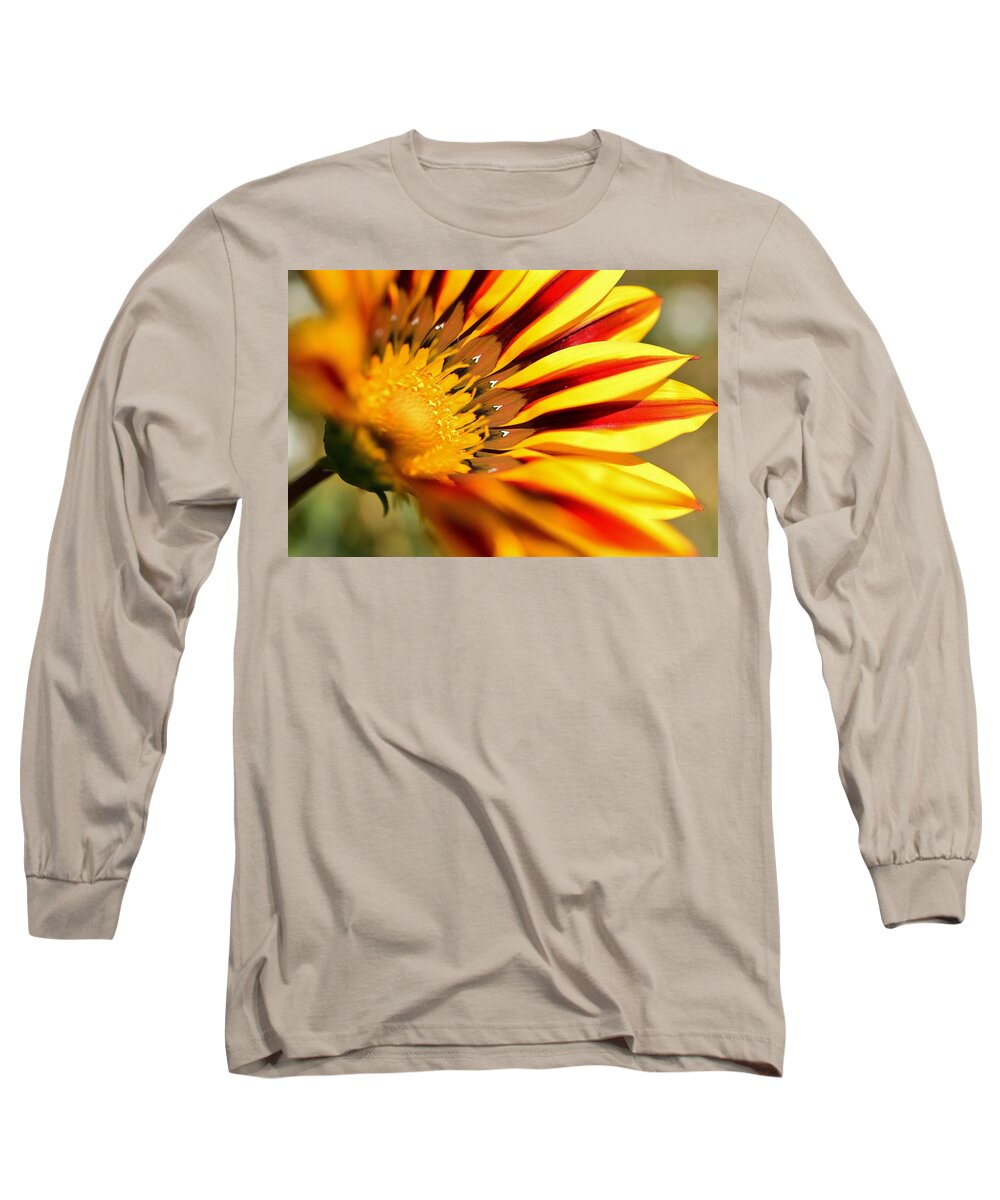 Linda Brody Long Sleeve T-Shirt featuring the photograph Gazania On Fire 1 by Linda Brody