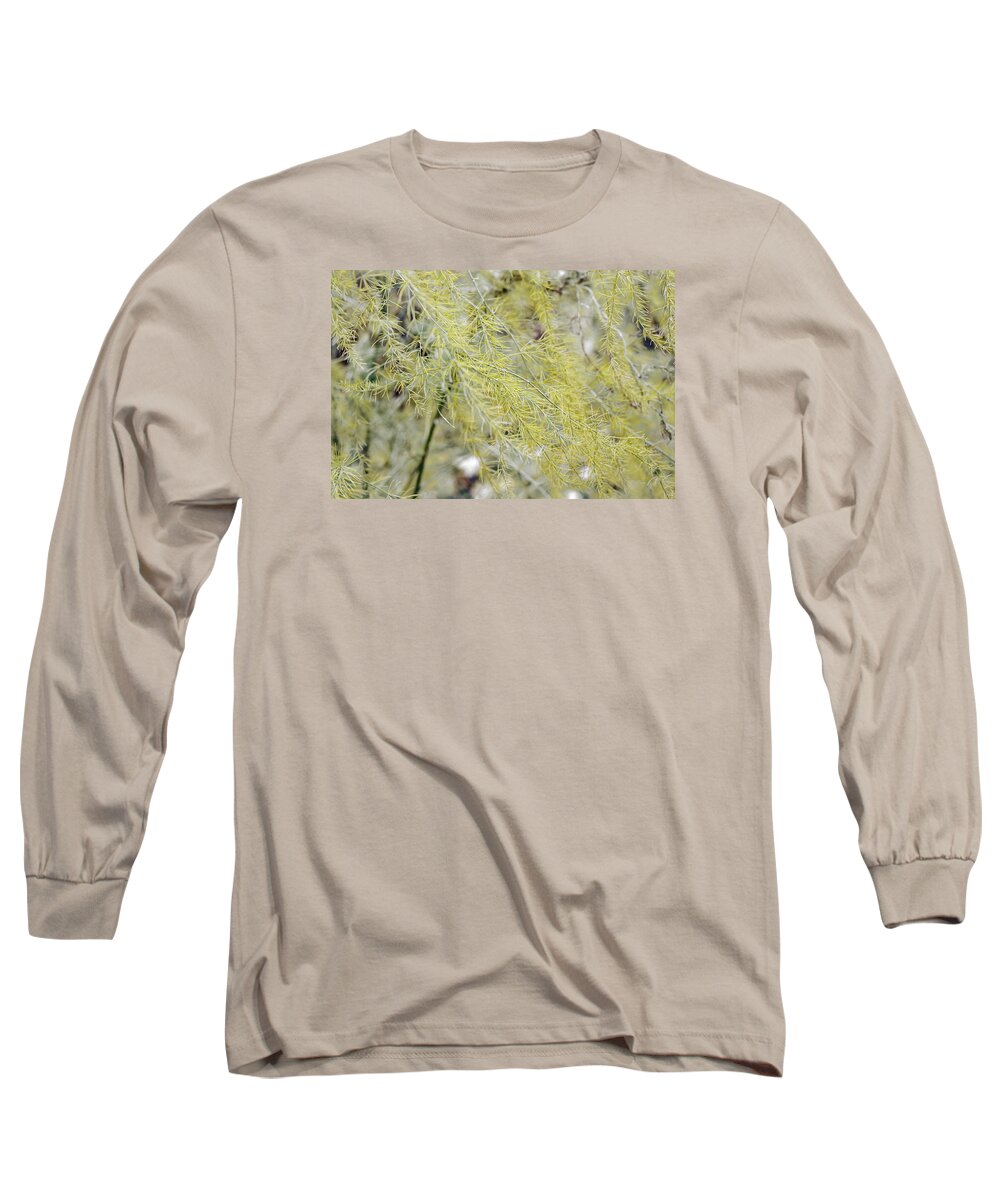 Foliage Long Sleeve T-Shirt featuring the photograph Gentle Weeds by Deborah Crew-Johnson