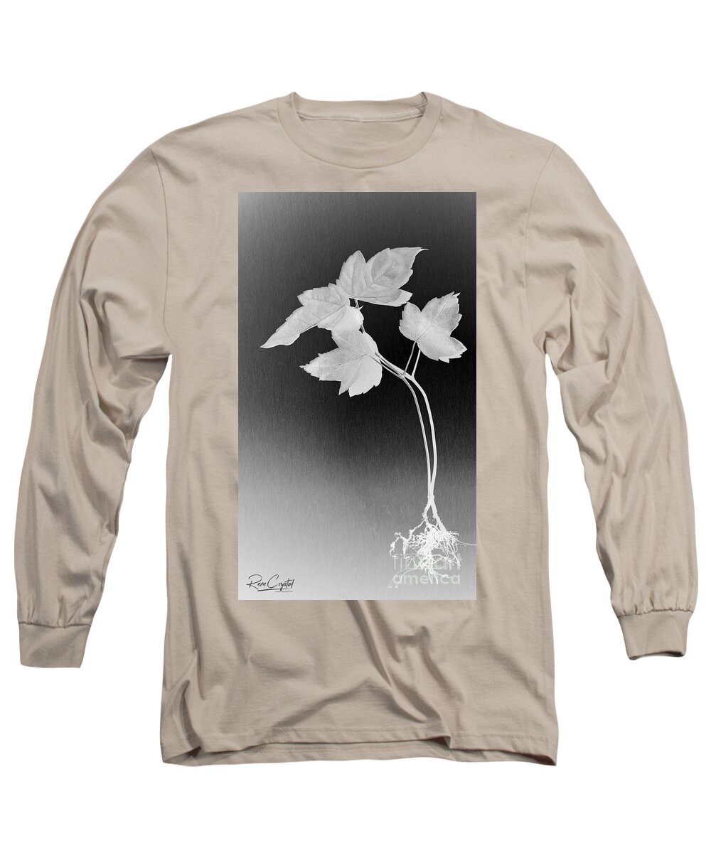 Leaves Long Sleeve T-Shirt featuring the photograph Getting To The Root Of The Matter by Rene Crystal