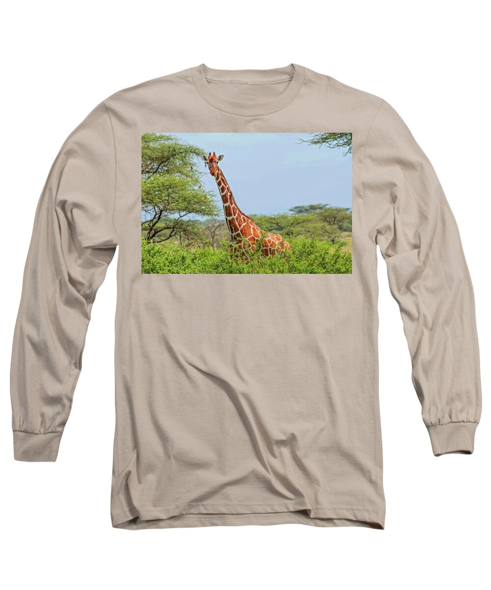 Giraffe Long Sleeve T-Shirt featuring the photograph Giraffe in the shrubs by Peggy Blackwell