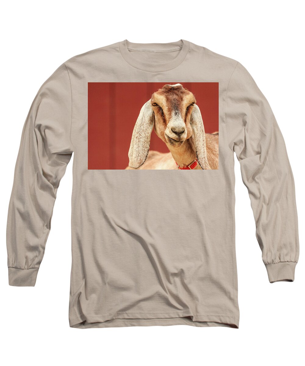 Animal Long Sleeve T-Shirt featuring the photograph Goat With an Attitude by Joni Eskridge