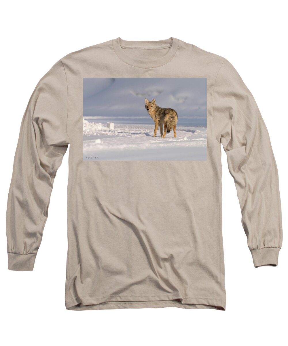 Coyote Long Sleeve T-Shirt featuring the photograph Grand Teton Coyote by Jody Partin